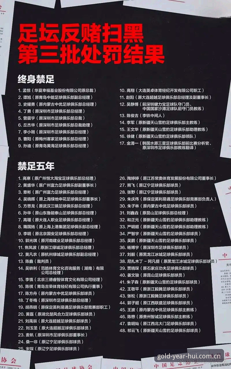 足协第三批禁足名单深度解读：从俱乐部高管到球员的全面整顿